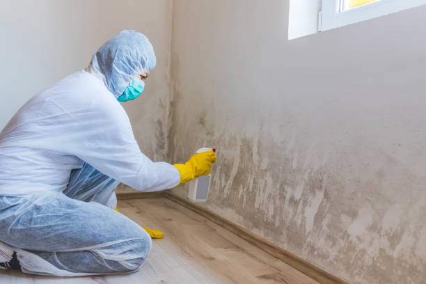 Licensed Mold Remediation service in Hightstown, NJ - Mold Remediation HQ