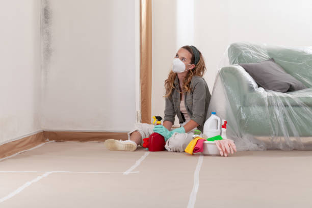Reliable Mold Remediation contractor in Hightstown, NJ by Mold Remediation HQ